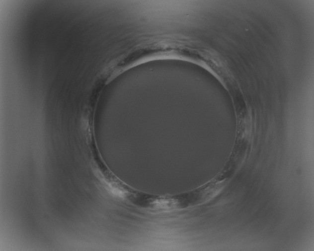 X0000070170415200605261201