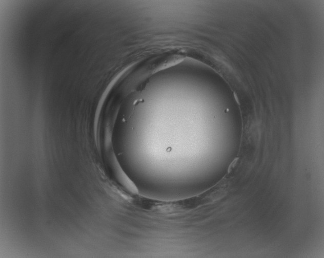 X0000070170417200605261201