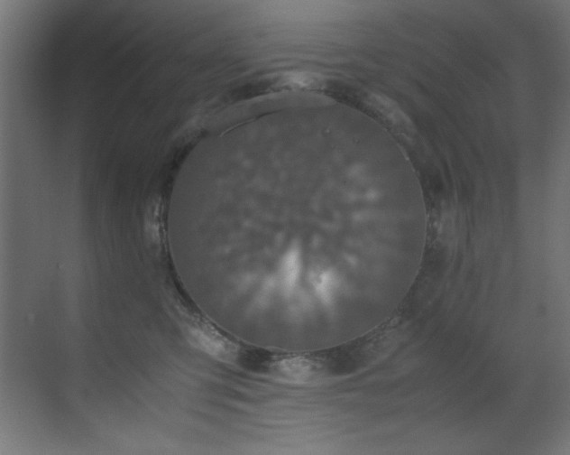 X0000070170423200605261201
