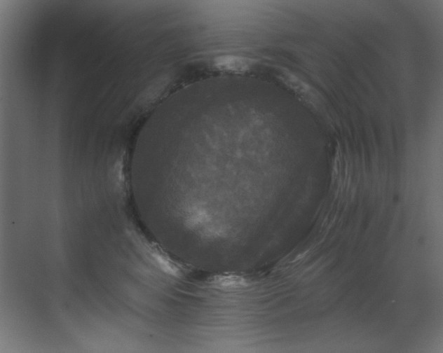 X0000070170424200605261201