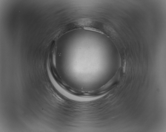 X0000070170428200605261201