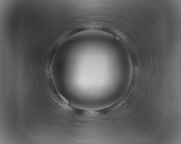 X0000070170429200605261200