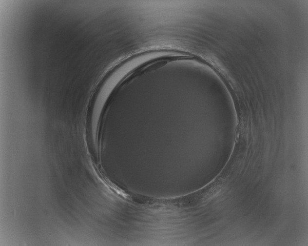 X0000070170434200605261200