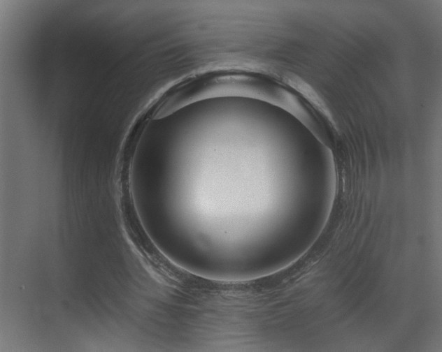 X0000070170436200605261200