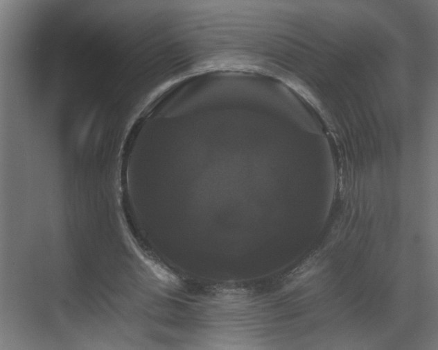 X0000070170438200605261200