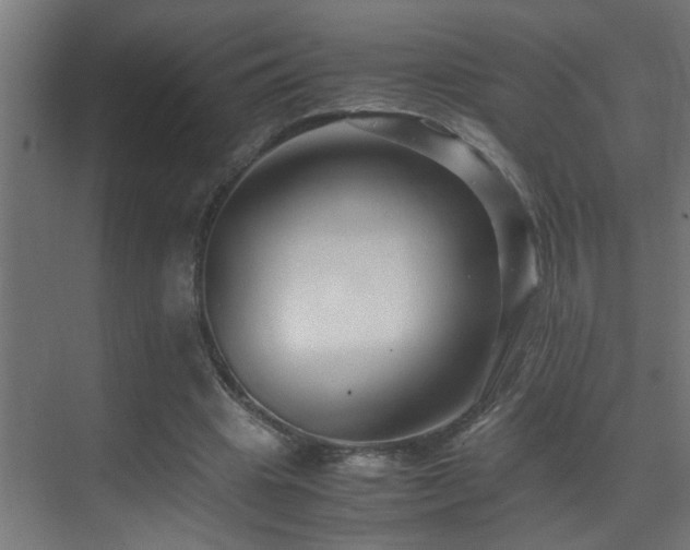 X0000070170441200605261200
