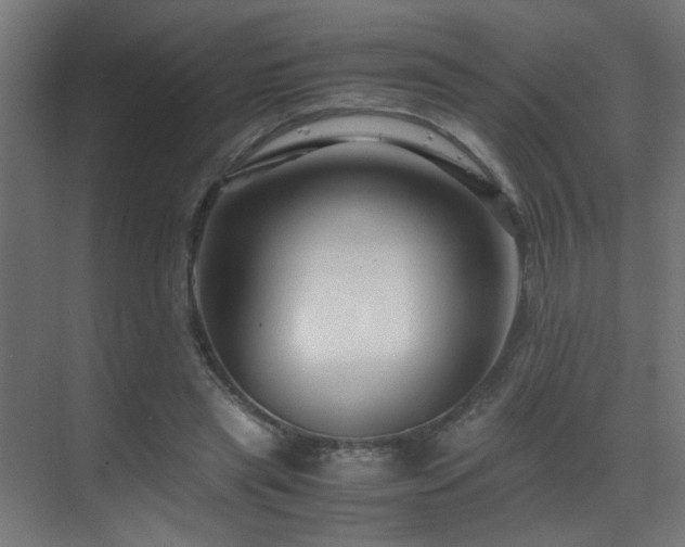 X0000070170445200605261200