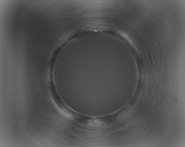 X0000070170451200605261200