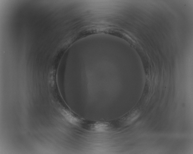 X0000070170462200605261200
