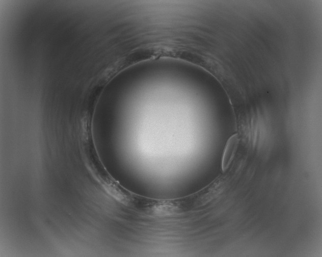 X0000070170468200605261200