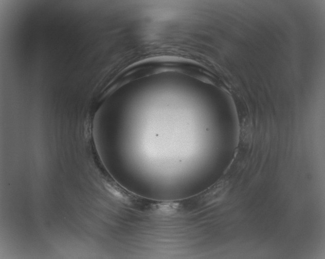 X0000070170474200605261200