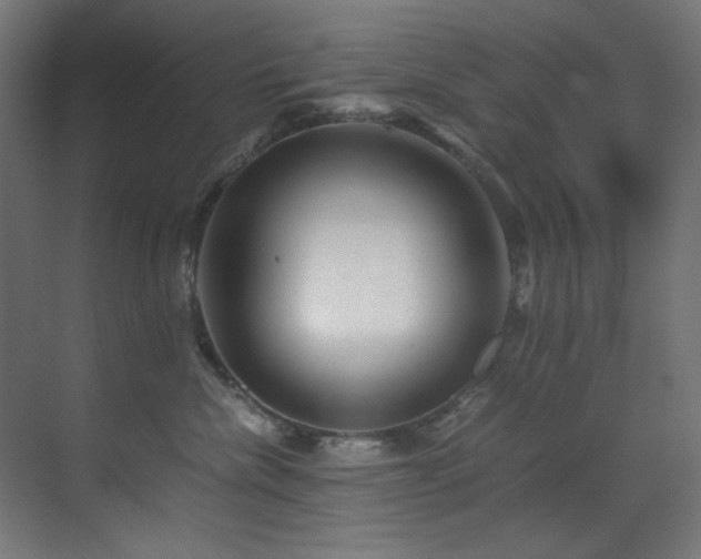 X0000070170476200605261200
