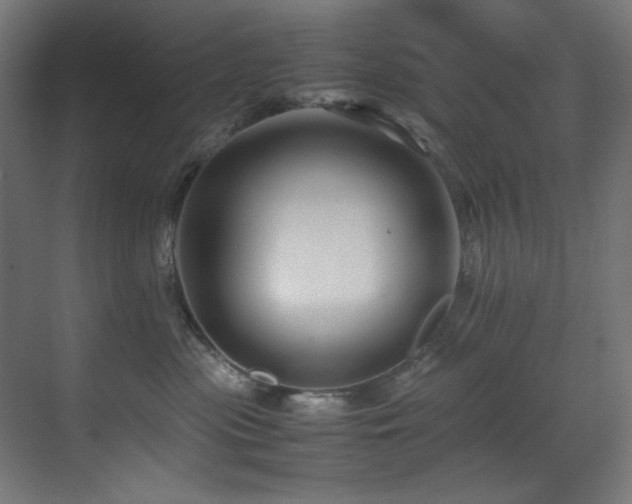 X0000070170477200605261200