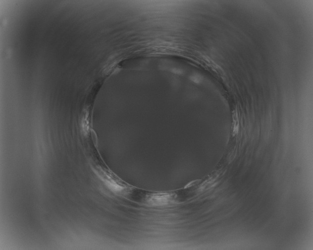 X0000070170479200605261200
