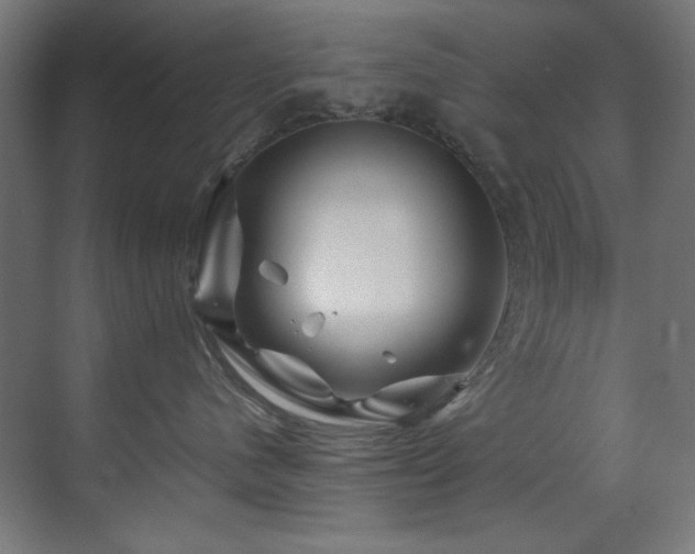 X0000070170480200605261200