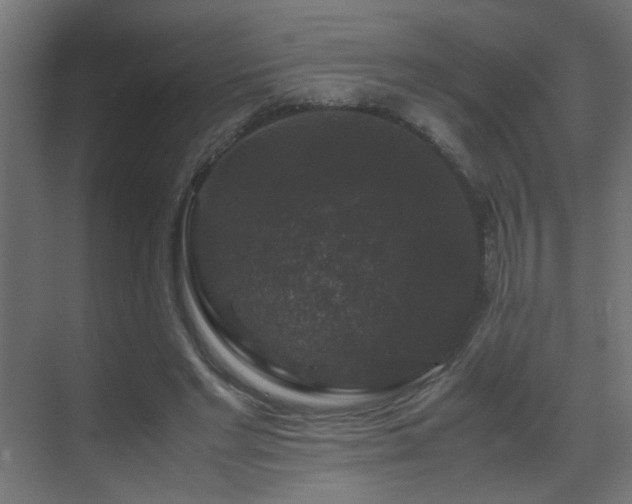 X0000070170493200605261159