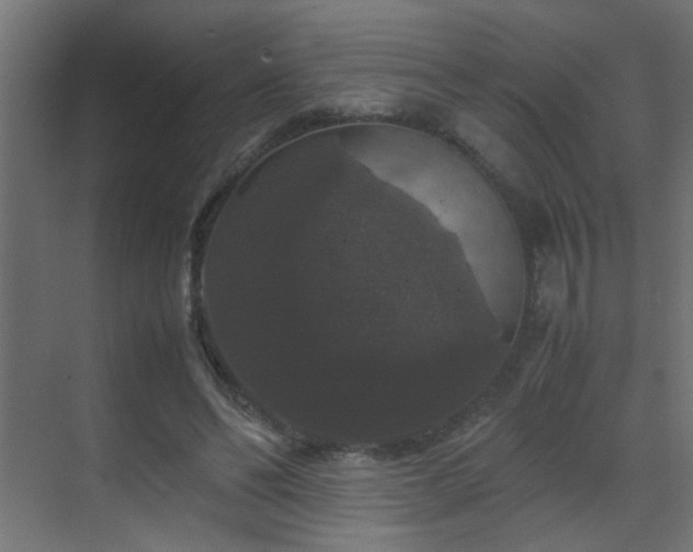 X0000070170494200605261159