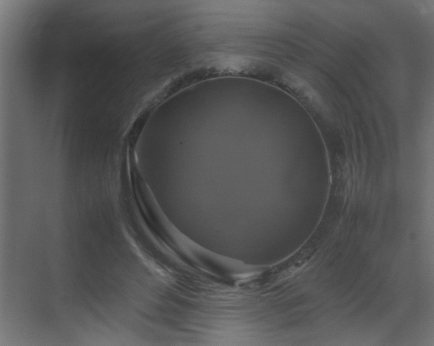 X0000070170496200605261159