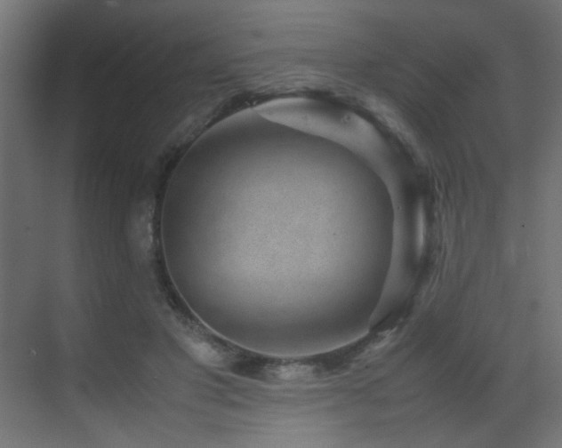 X0000070170501200605261159