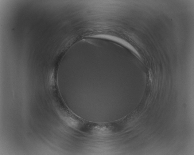 X0000070170502200605261159