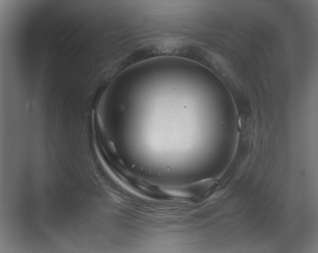 X0000070170505200605261159