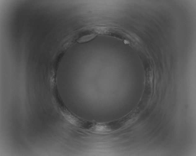 X0000070170507200605261159