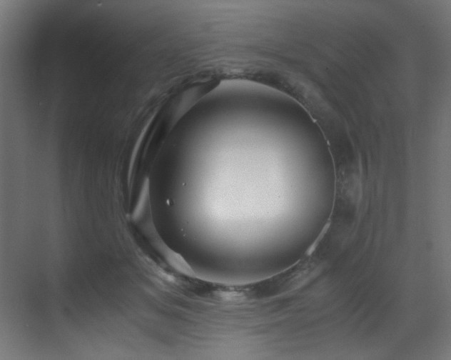 X0000070170509200605261159