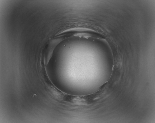 X0000070170515200605261159