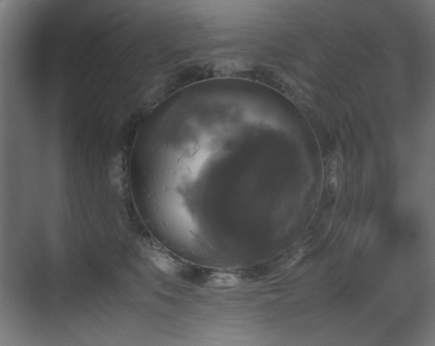 X0000070170519200605261159