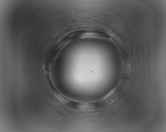 X0000070170521200605261159