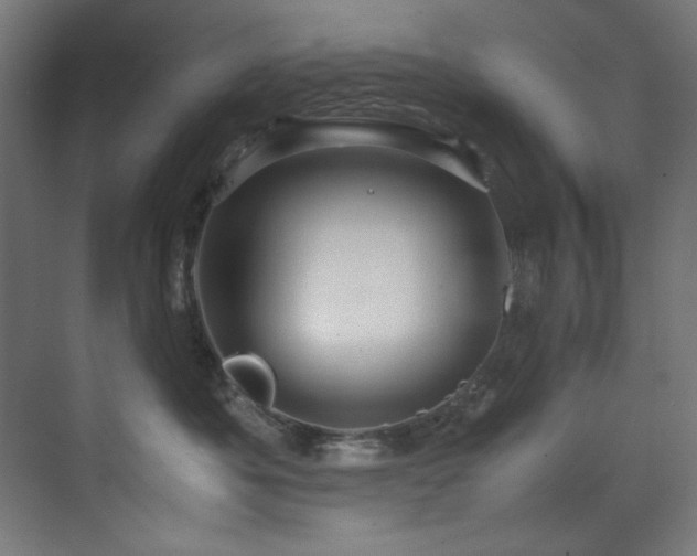 X0000070170525200605261159