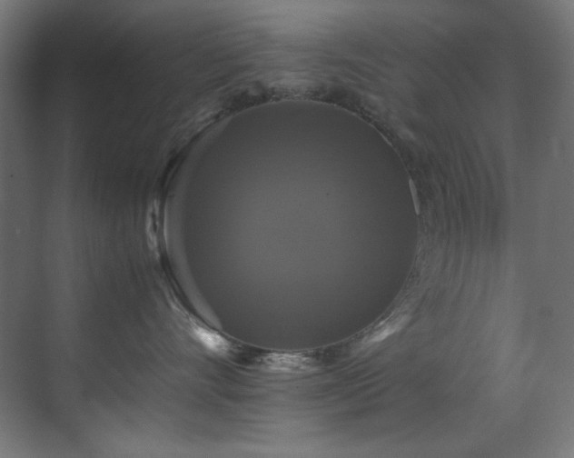 X0000070170528200605261159