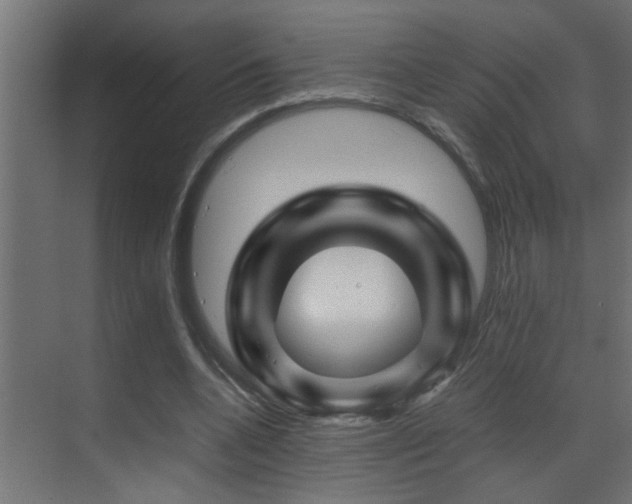 X0000070170536200605261158