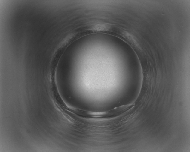 X0000070170539200605261158