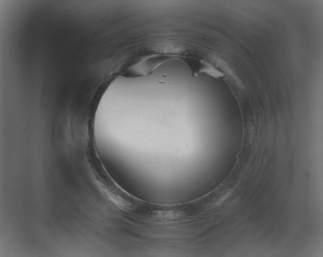 X0000070170541200605261158