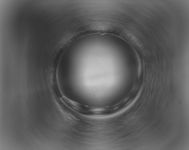 X0000070170544200605261158