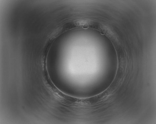 X0000070170545200605261158