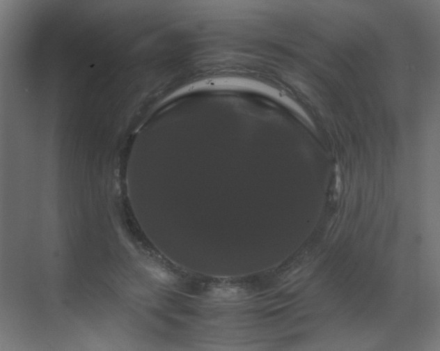 X0000070170547200605261158
