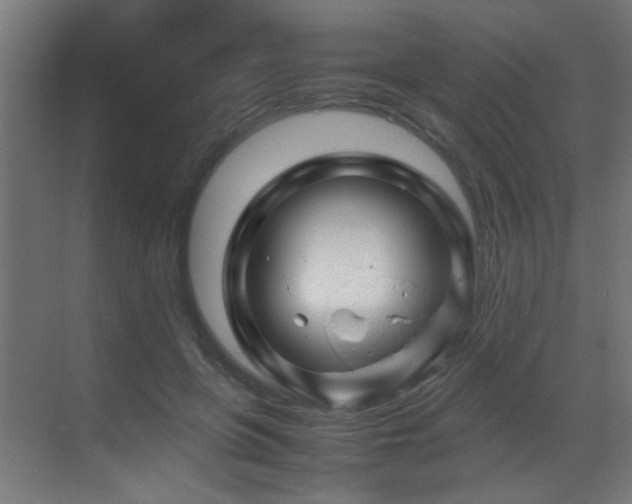 X0000070170551200605261158