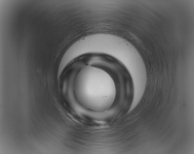 X0000070170552200605261158