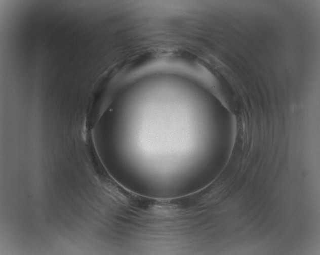 X0000070170556200605261158