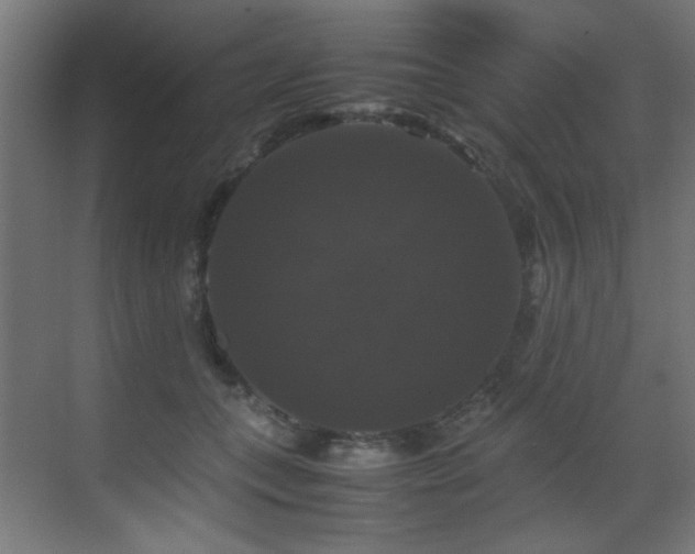 X0000070170559200605261159