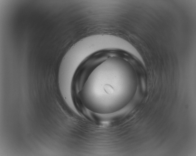 X0000070170560200605261159