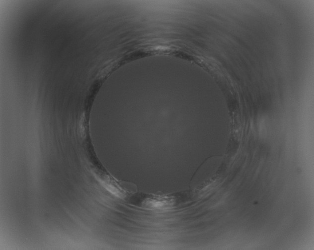 X0000070170563200605261159