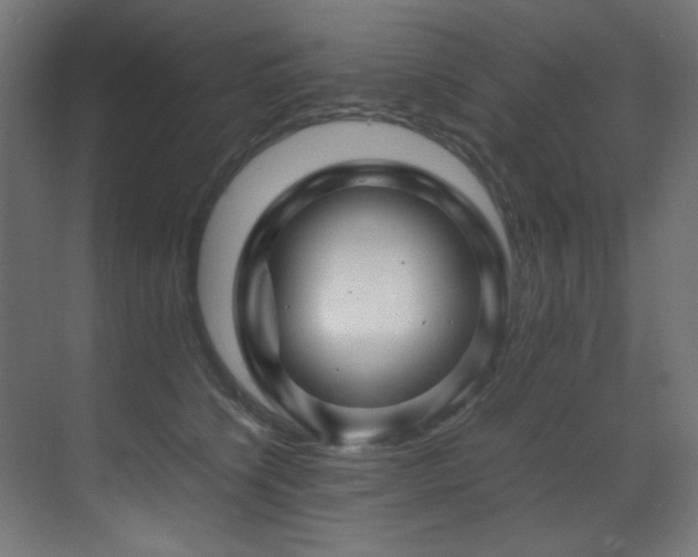 X0000070170564200605261159