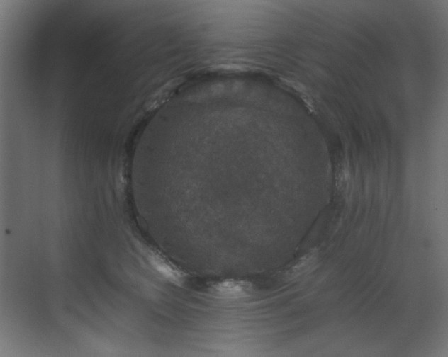 X0000070170566200605261159