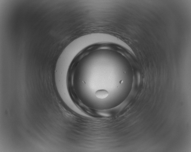 X0000070170570200605261159