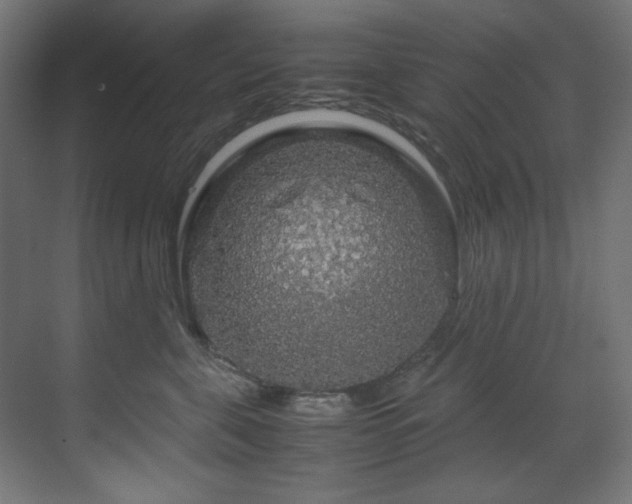 X0000070170571200605261159