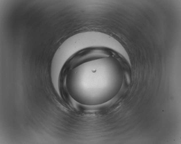 X0000070170572200605261159