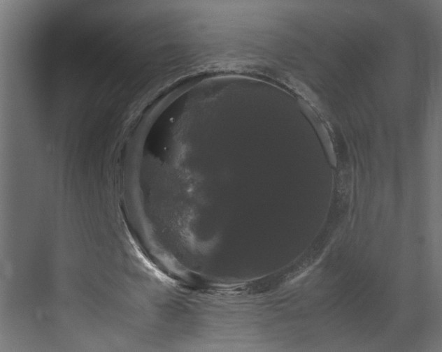 X0000070170577200605261158